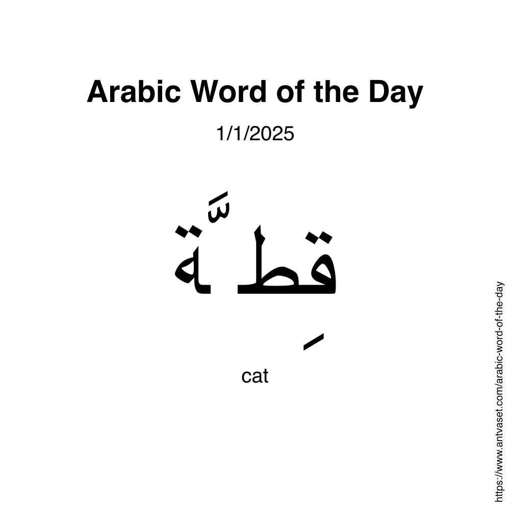 Arabic Word of the Day