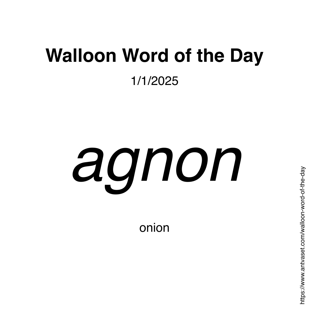 Walloon Word of the Day